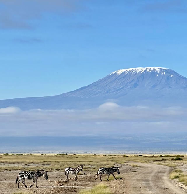 2 Days Mombasa – Amboseli Kilimanjaro Safari Kenya Safari Tour
